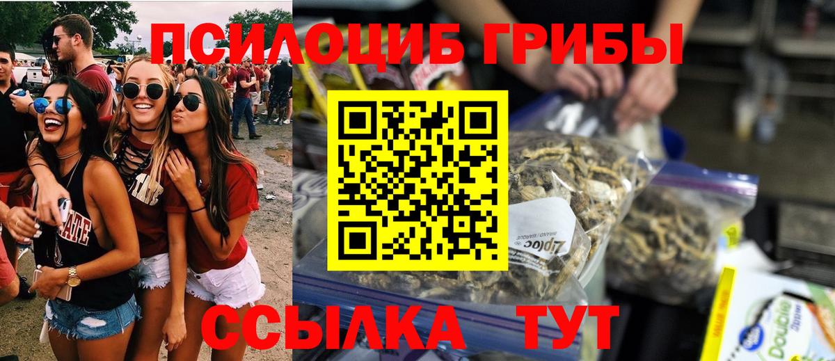 Псилоцибиновые грибы GOLDEN TEACHER Свободный